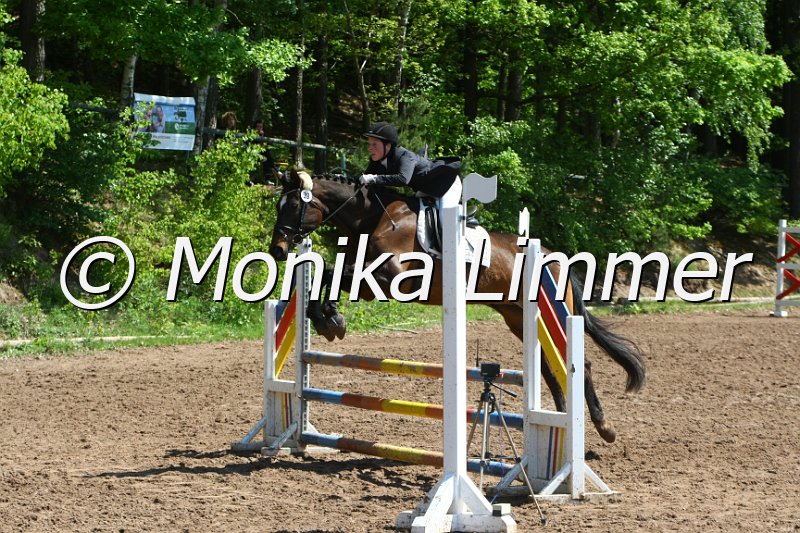 104M8209_SpringWB E.JPG